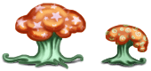 Cromirland mushrooms