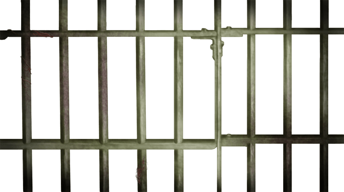 Prison Bars