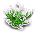 Seaweed 3