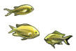 Small fishes