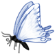 Easter butterfly 2