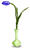 Tulip vase