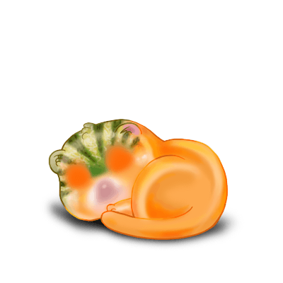 Adopt a Melon Ferret