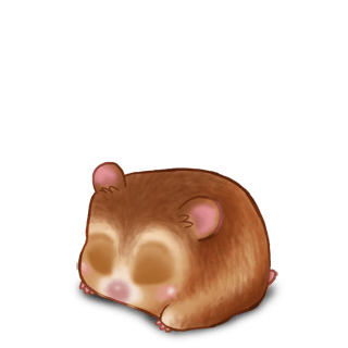 Adopt a Praline Hamster