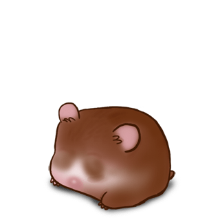 Adopt a Roborovski Hamster