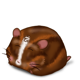 Adopt a Milk chocolate Hamster