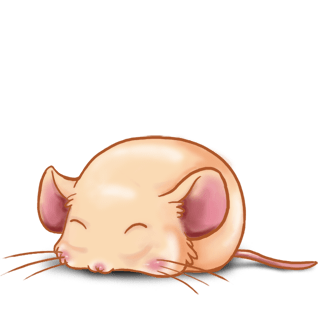 Adopt a Beige Mouse