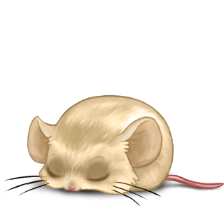 Adopt a Beige Brown Mouse