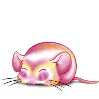Adopt a Cromimi Mouse