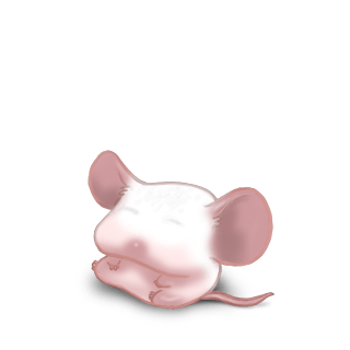 Adopt a White Mouse