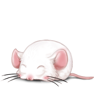 Adopt a Praline Mouse