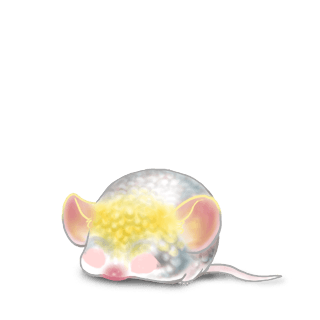 Adopt a Cockatoo Mouse