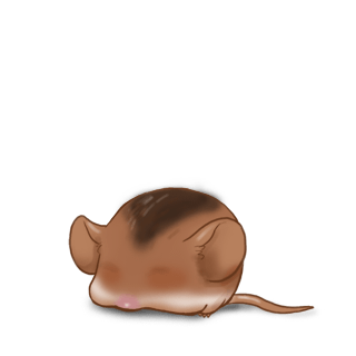 Adopt a Caramel Mouse