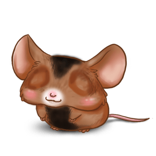 Adopt a Caramel Mouse