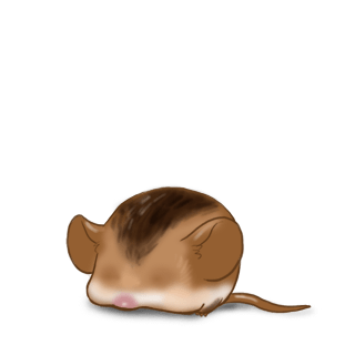 Adopt a Chestnut Mouse