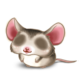 Adopt a Asian Mouse