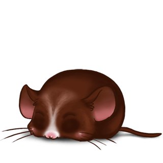 Adopt a Choco Mouse