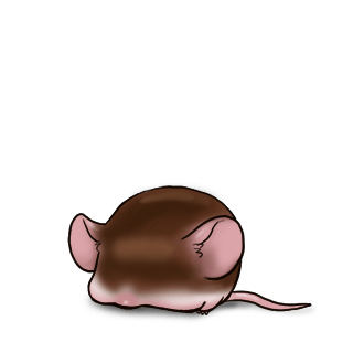Adopt a Chocolate Mouse