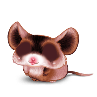 Adopt a Domesticated Mouse