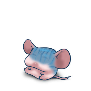 Adopt a Crominavi Mouse