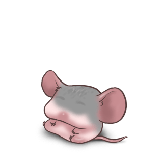 Adopt a Silver Mouse