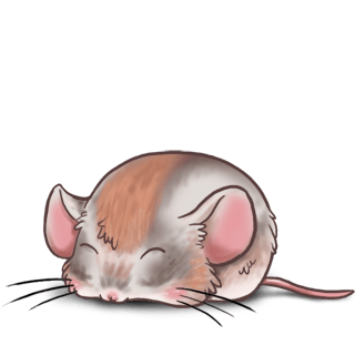 Adopt a Angora Mouse