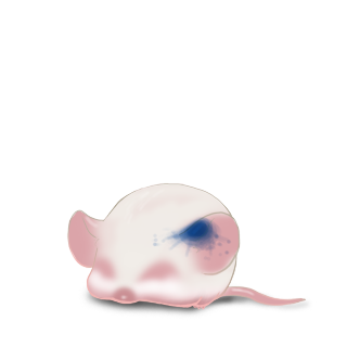 Adopt a Ink Mouse