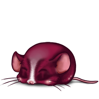 Adopt a Fuchsia Mouse