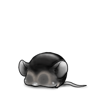 Adopt a Black and white Mouse