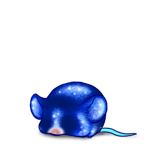 Adopt a Mandou Mouse