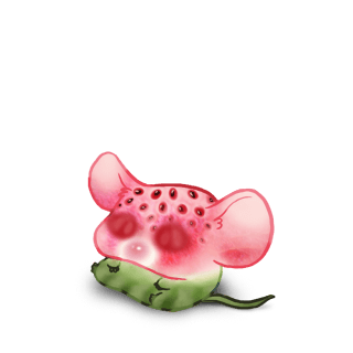 Adopt a Watermelon Mouse
