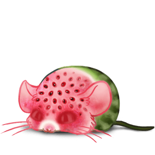 Adopt a Watermelon Mouse