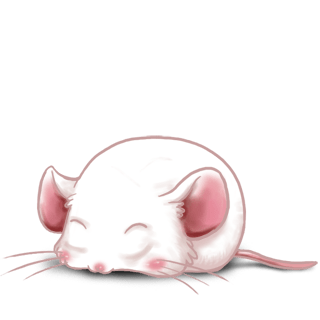 Adopt a Flunsh Mouse
