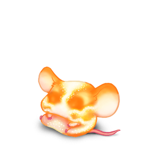 Adopt a Sun Mouse