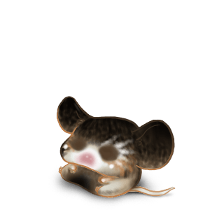 Adopt a Surprise Mouse