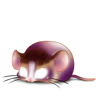 Adopt a Picoudi Mouse