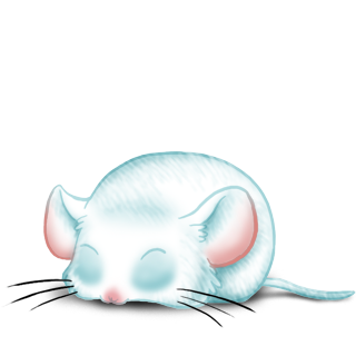 Adopt a Boreal Mouse