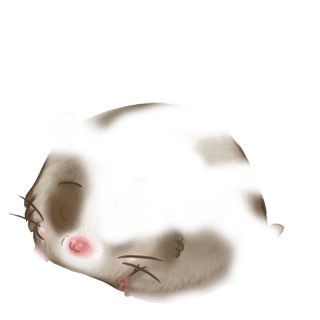 Adopt a Roborovski Hamster