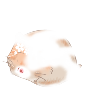 Adopt a Pâkœuf Hamster