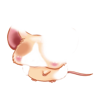 Adopt a Pistachio Mouse