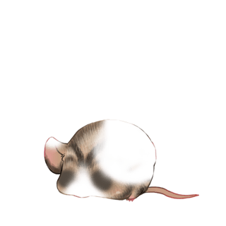 Adopt a Ink Mouse