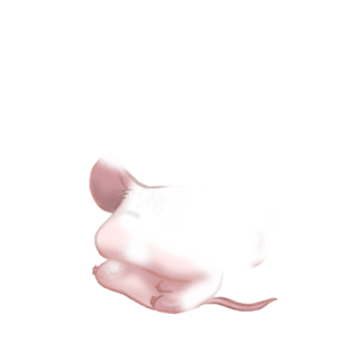 Adopt a  Mouse