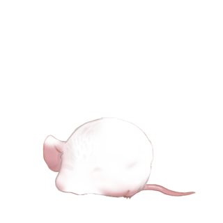 Adopt a Black and white Mouse