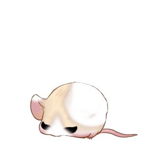 Adopt a Boreal Mouse
