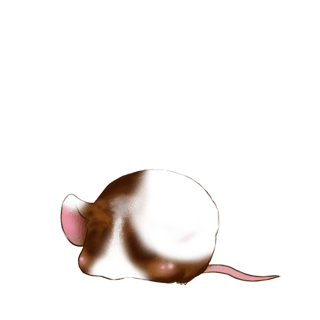 Adopt a Coffee Mouse