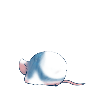 Adopt a Scale Mouse