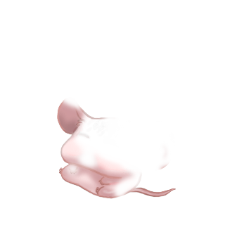 Adopt a BeeMoov Mouse