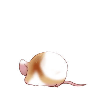 Adopt a Toffee Mouse