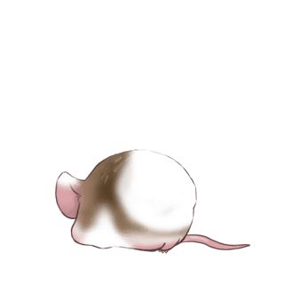 Adopt a Brown striped Mouse
