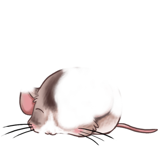 Adopt a Classical Mouse